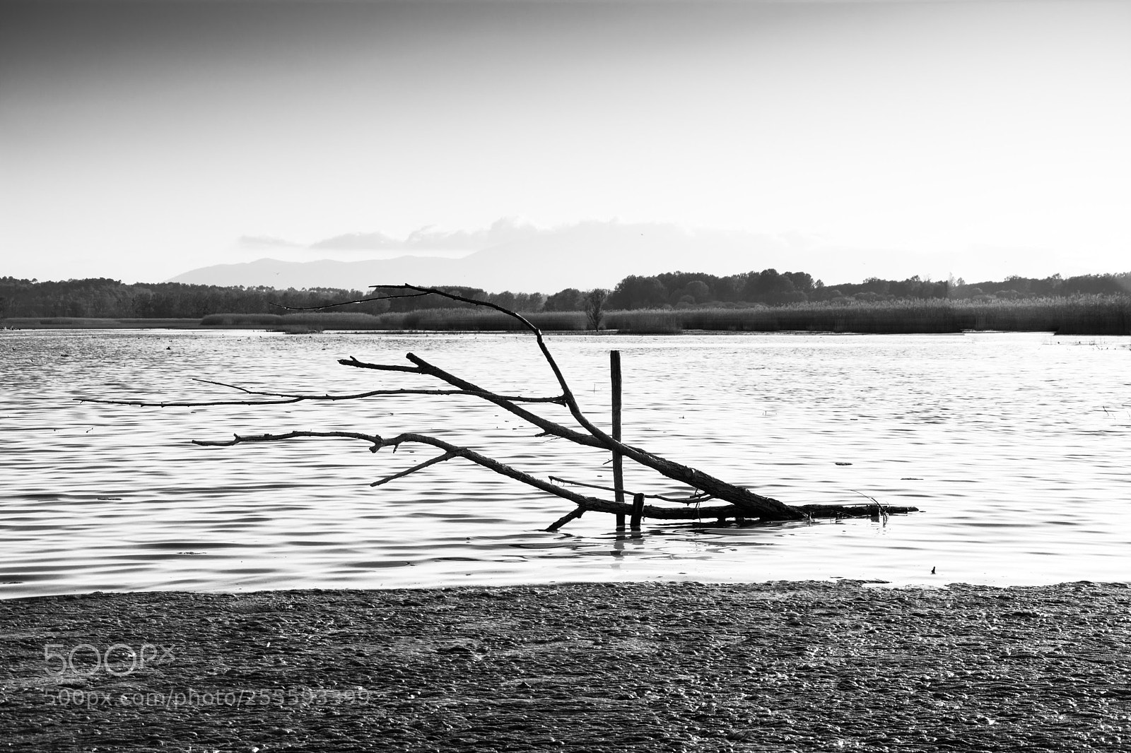 Nikon D5200 sample photo. Solitario photography