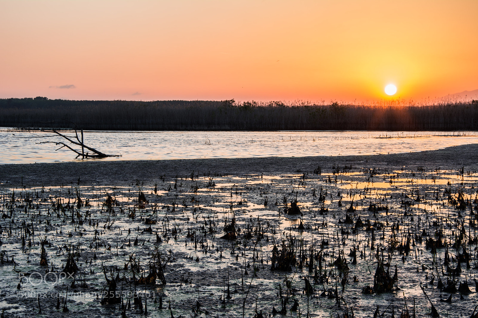 Nikon D5200 sample photo. Sunset in padule photography