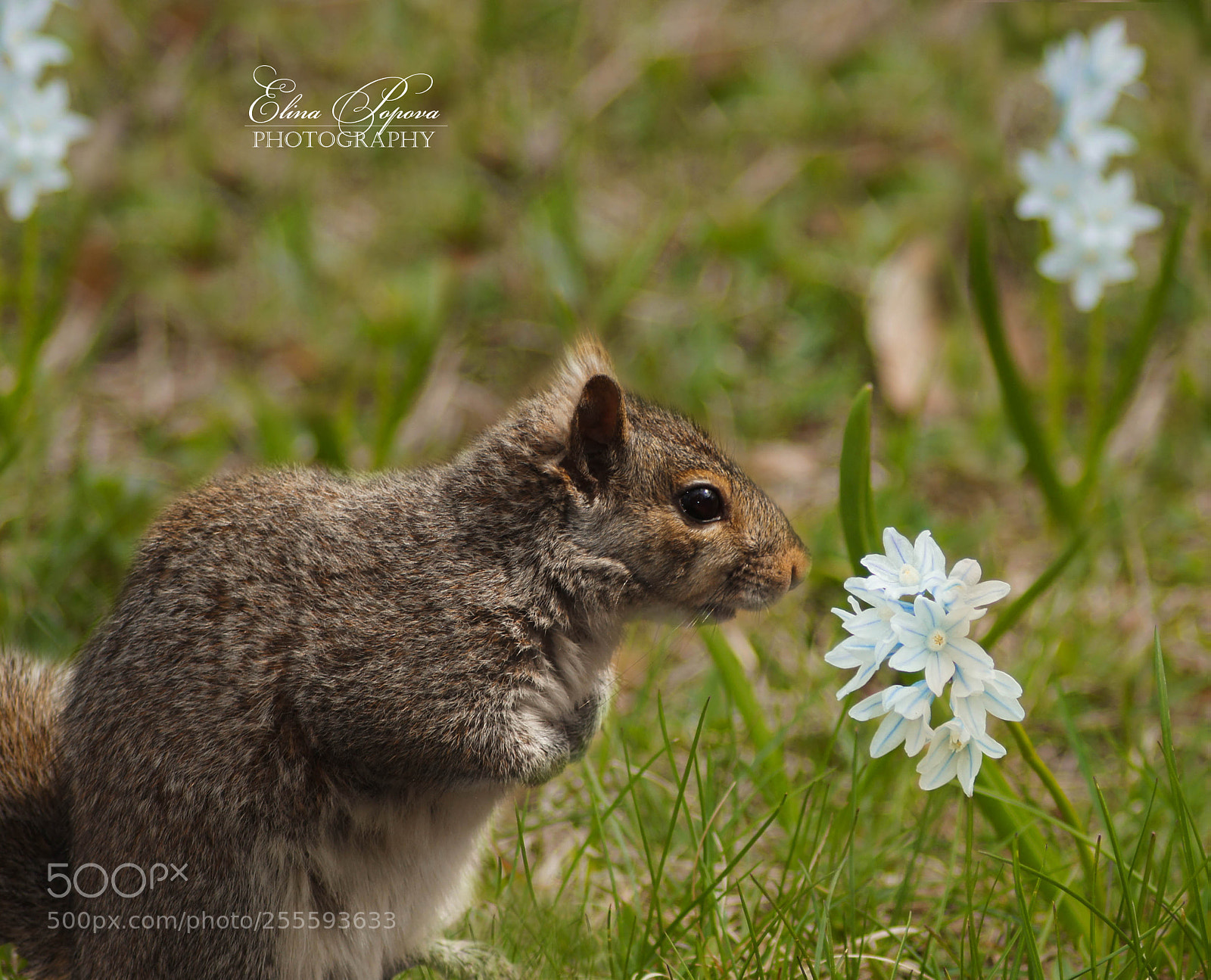 Sony SLT-A55 (SLT-A55V) sample photo. Untitled photography