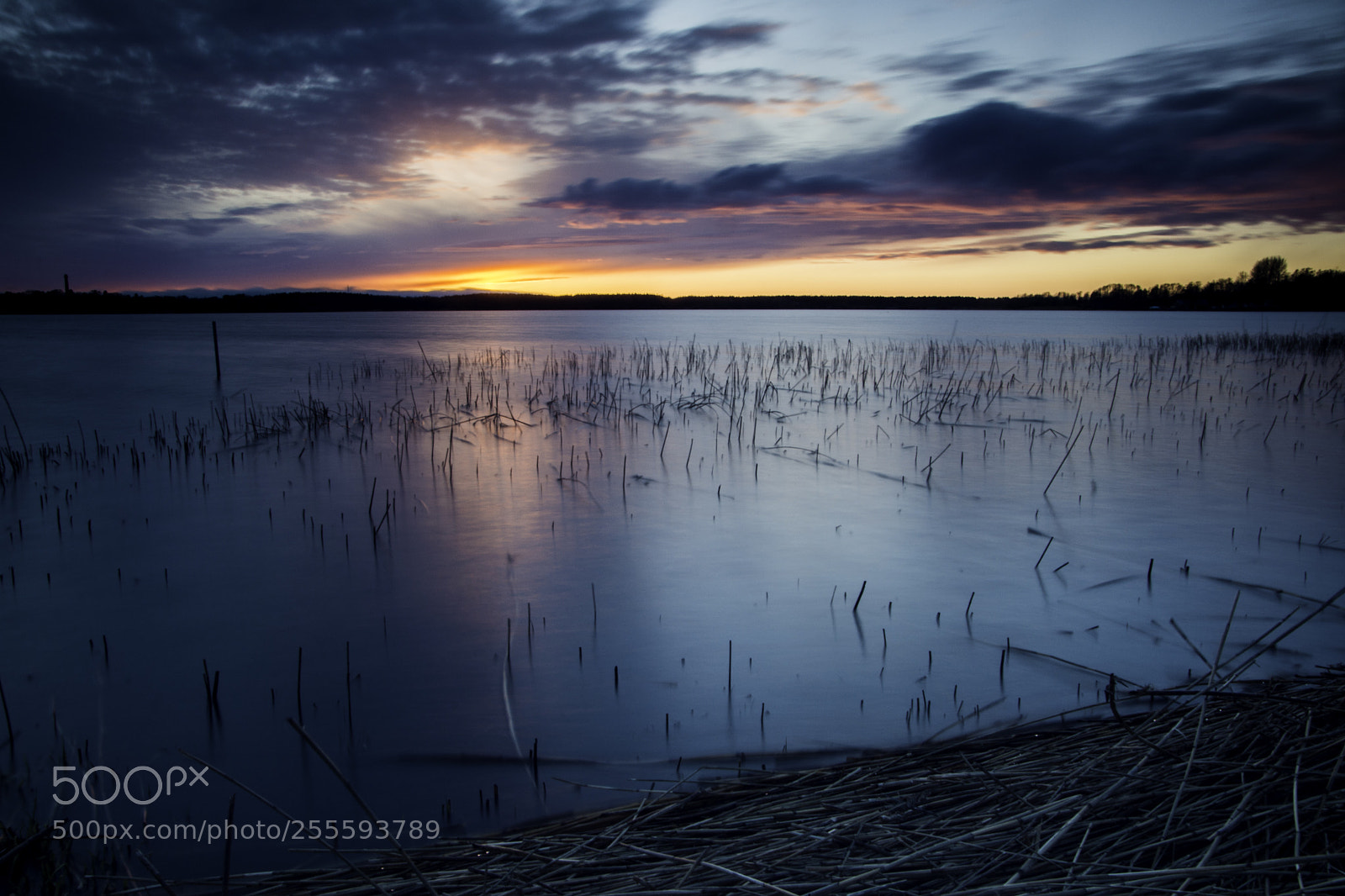 Nikon D7200 sample photo. Sun goes down. photography