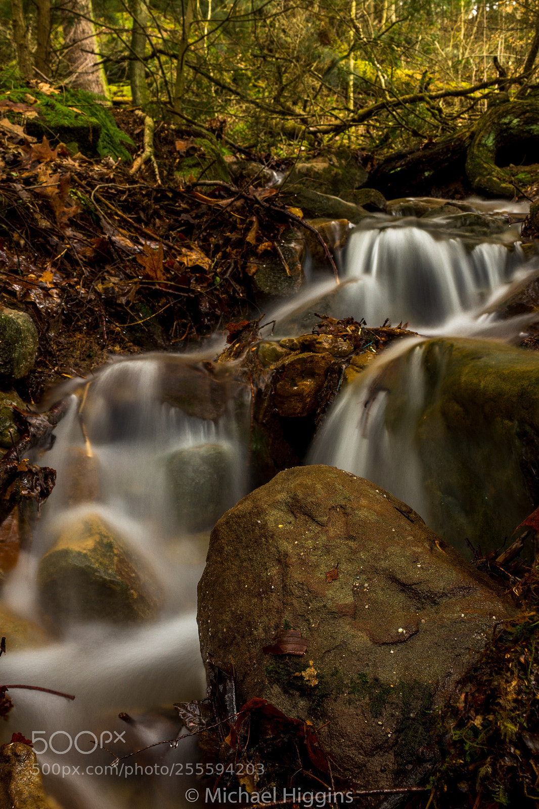 Canon EOS 1200D (EOS Rebel T5 / EOS Kiss X70 / EOS Hi) sample photo. Forest stream photography
