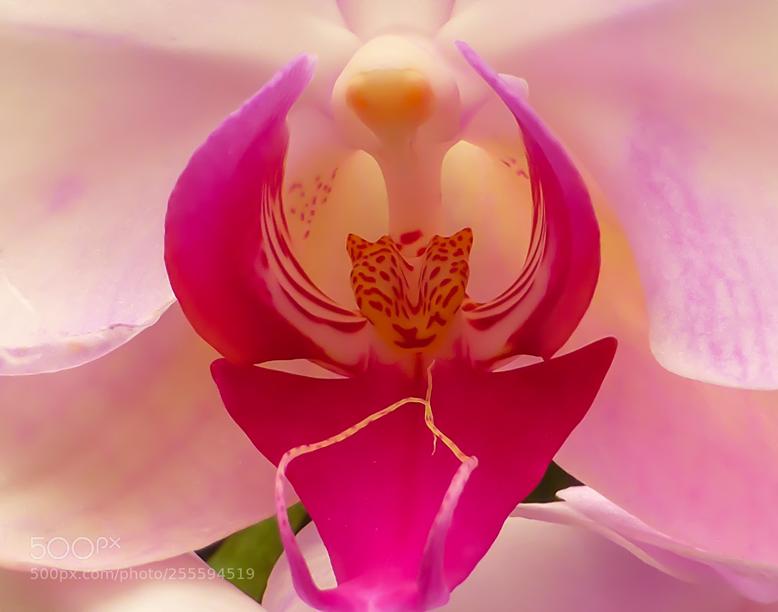Panasonic Lumix DMC-ZS30 (Lumix DMC-TZ40) sample photo. Nature wonders 2 photography