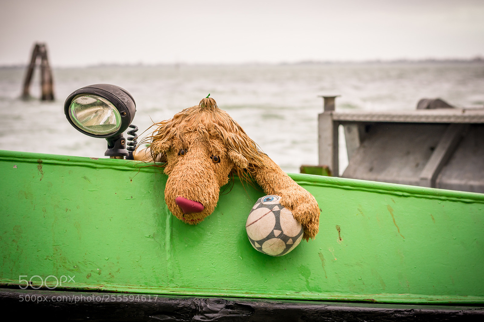 Nikon D7100 sample photo. Venezia 2 photography