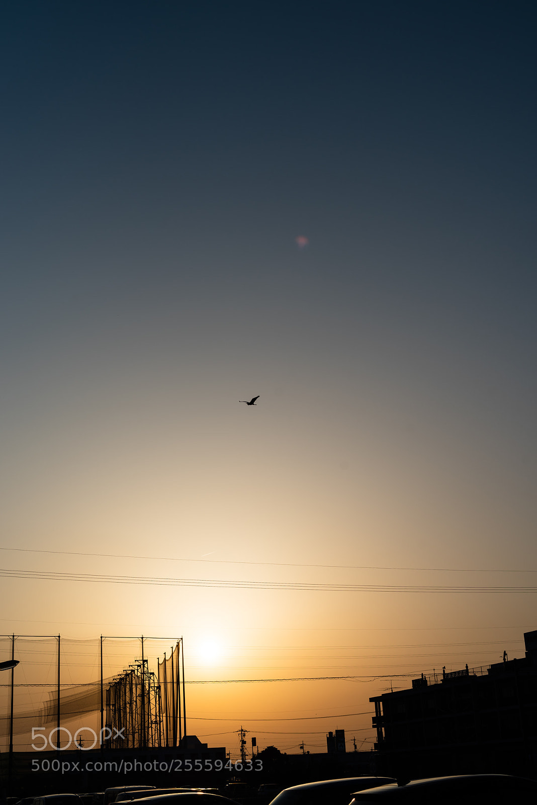 Pentax K-1 sample photo. Today evening sky. photography