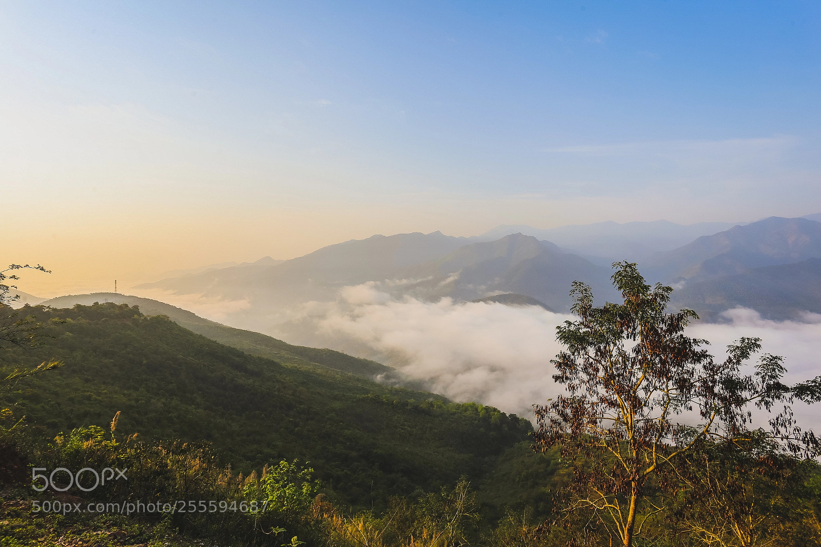 Canon EOS 6D sample photo. Nậm cắn 2018 photography