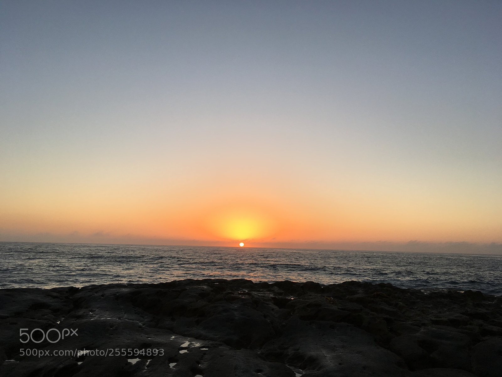 Apple iPhone SE sample photo. Curl curl beach photography