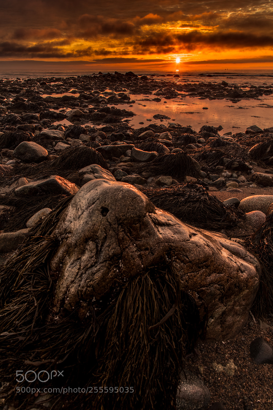 Canon EOS 6D Mark II sample photo. Scituate sunrise photography