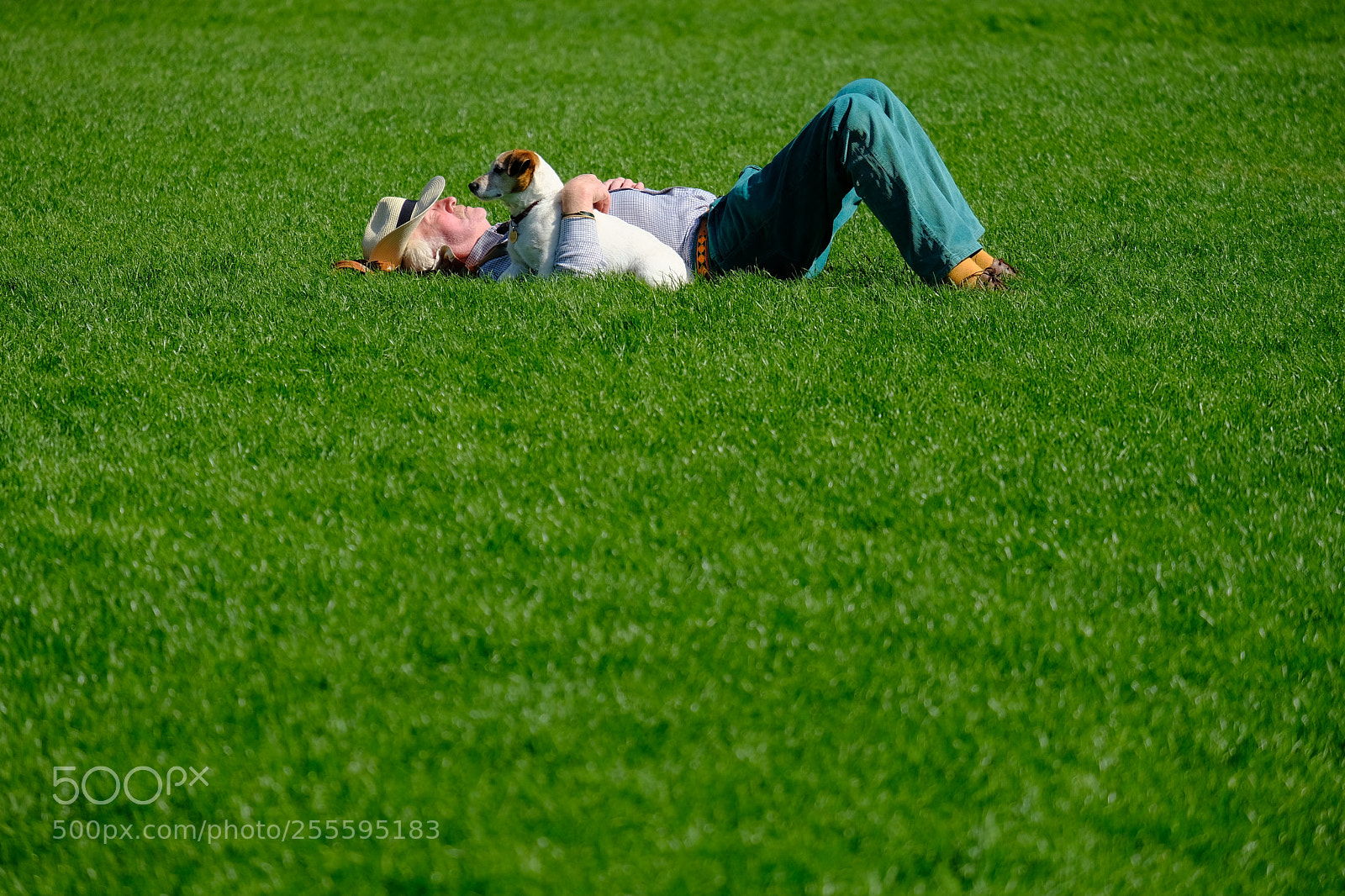Fujifilm X-T2 sample photo. Lazing on a sunny photography