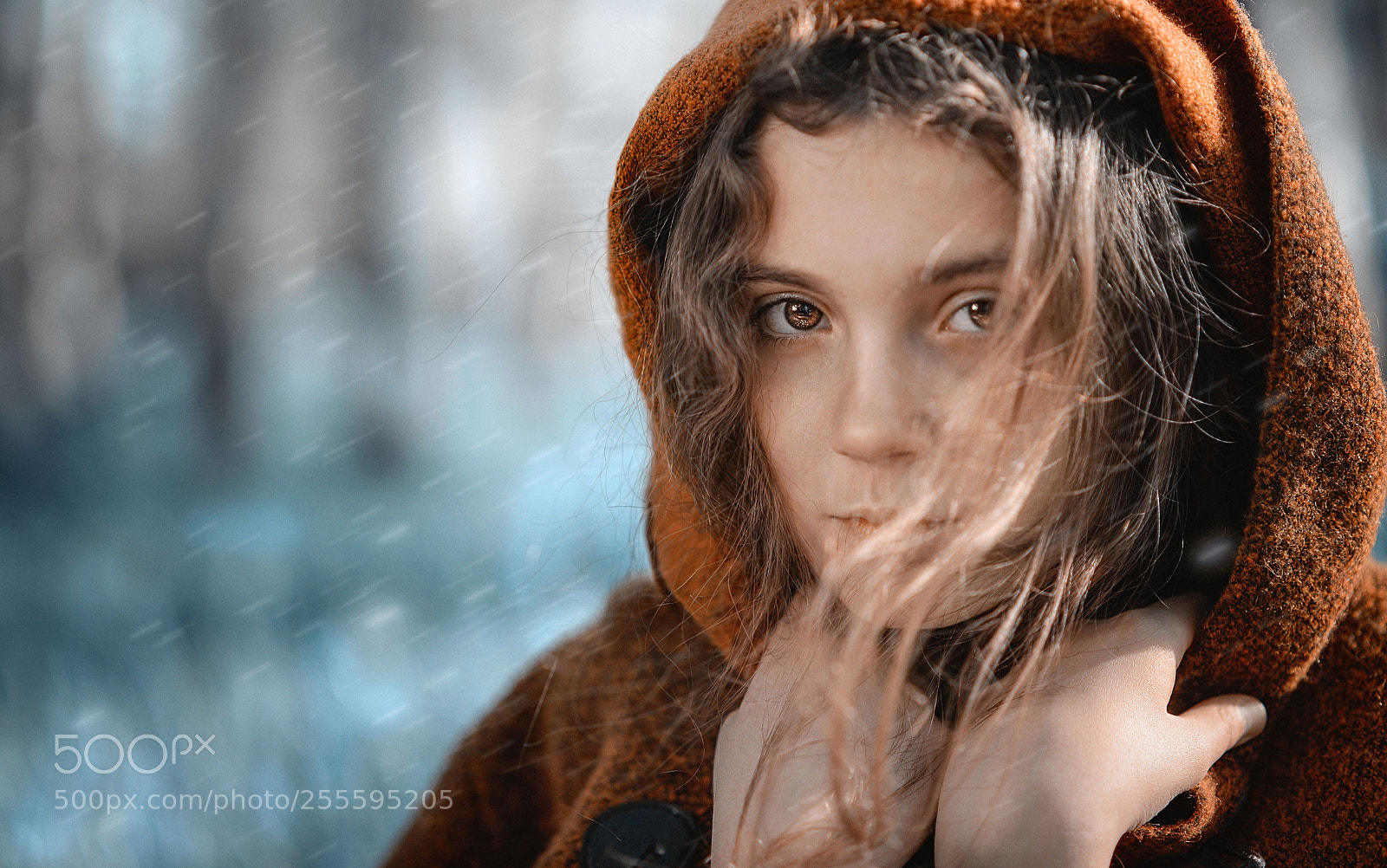 Nikon D610 sample photo. Bad weather photography