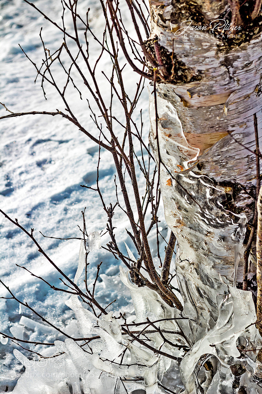 Canon EOS 1300D (EOS Rebel T6 / EOS Kiss X80) sample photo. Ice wrapped photography
