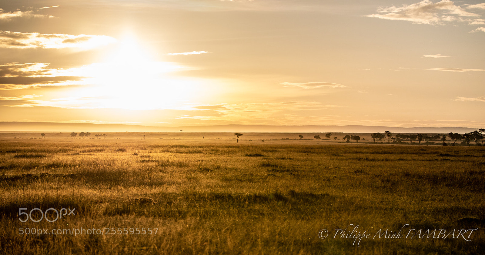 Canon EOS 5D Mark IV sample photo. Sunset in masai mara photography