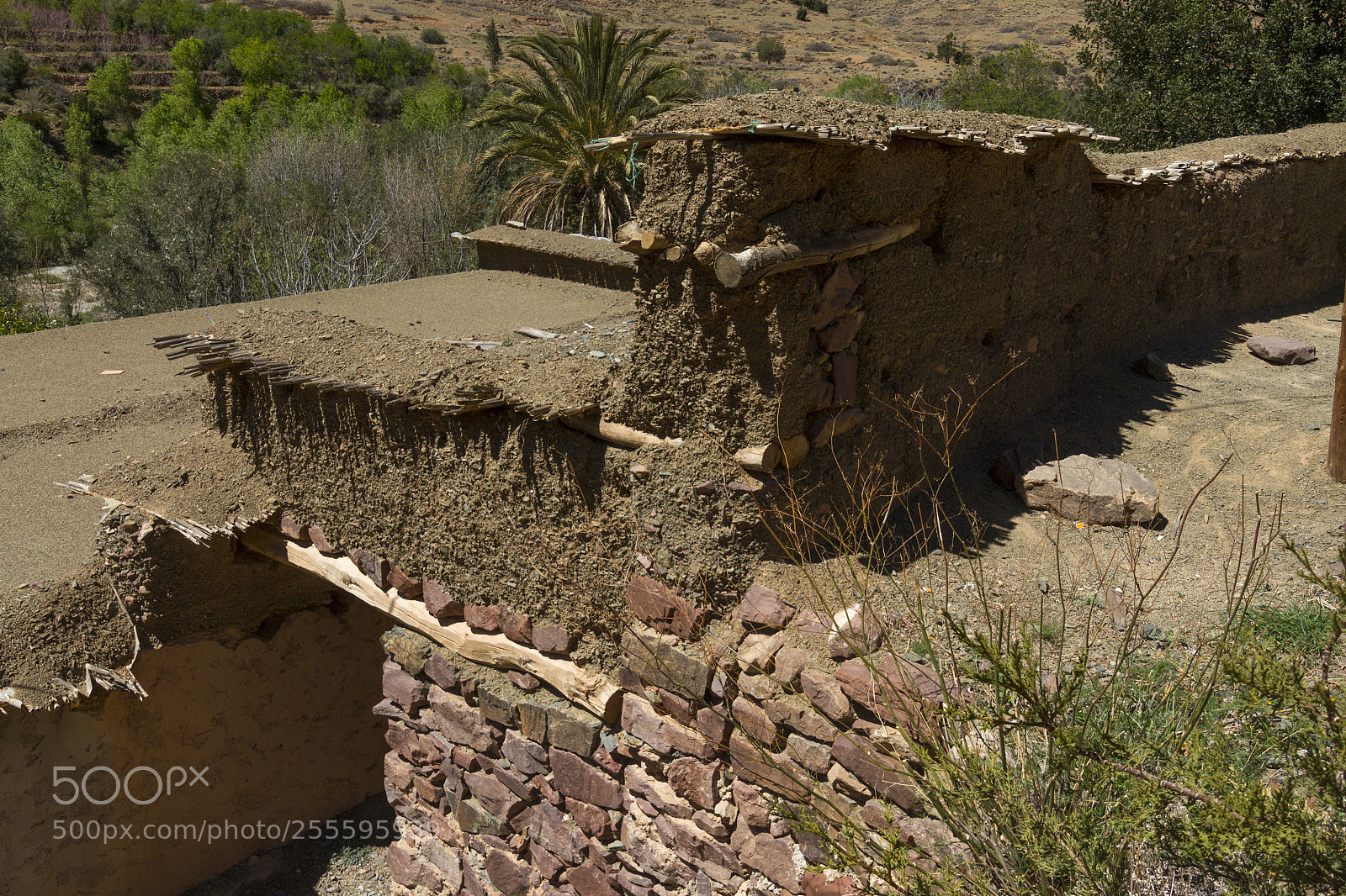 Canon EOS 7D sample photo. 2018-3794.jpg photography