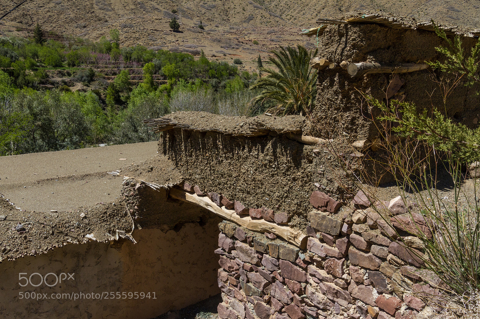 Canon EOS 7D sample photo. 2018-3790.jpg photography