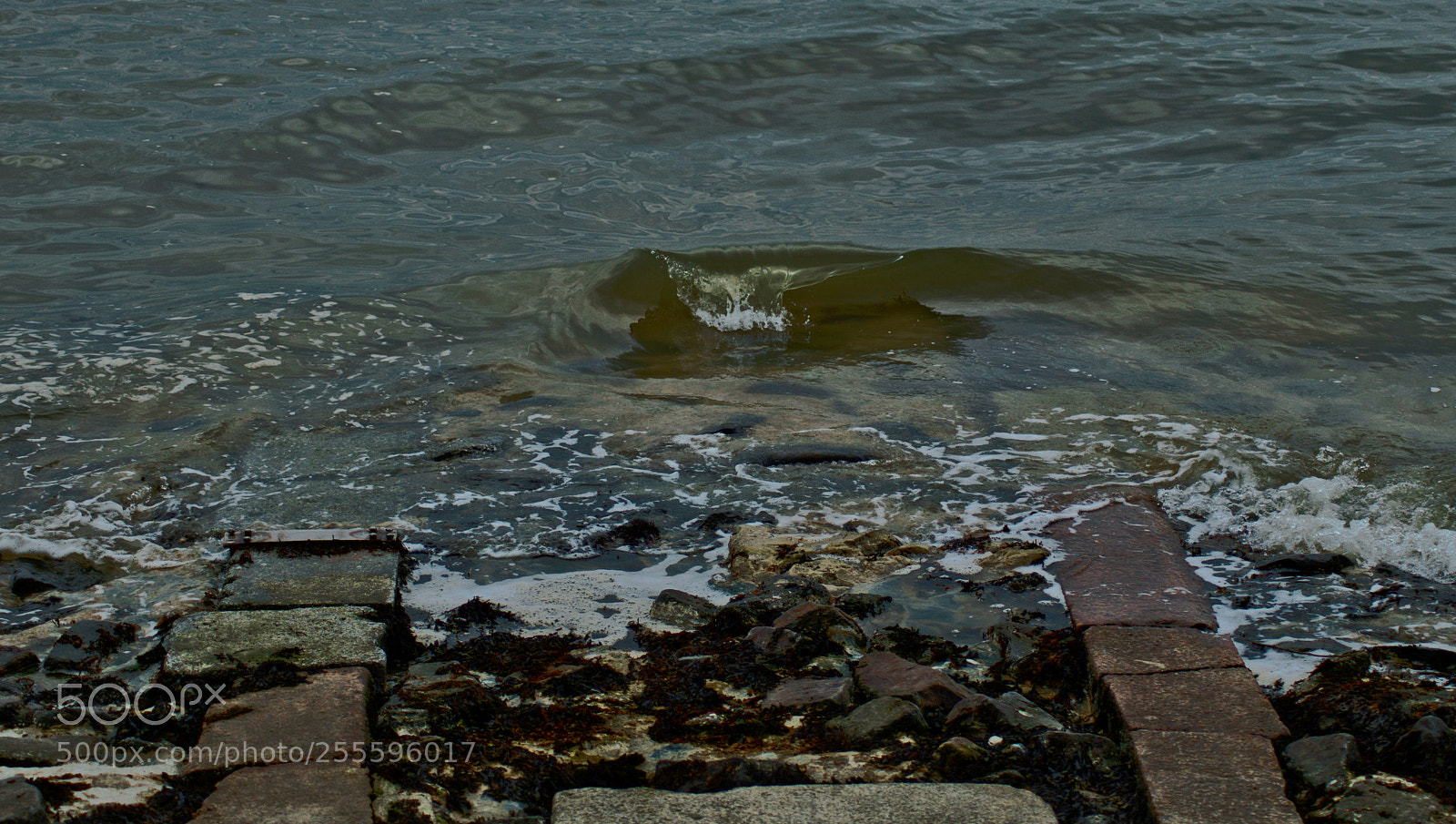 Nikon D3300 sample photo. Seashore photography