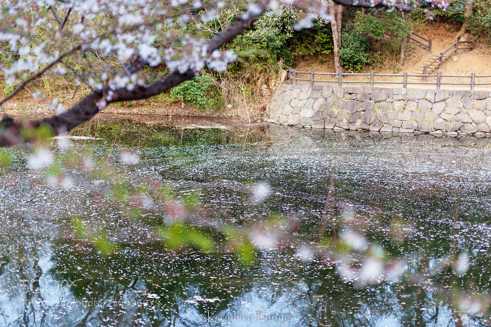 Canon EOS 6D sample photo. S photography