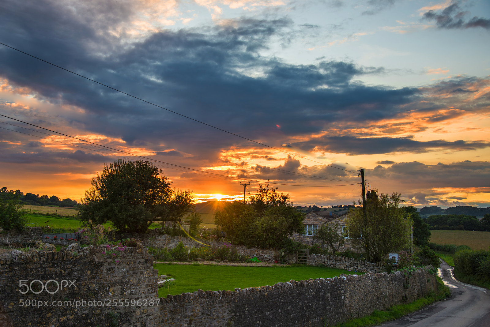 Nikon D610 sample photo. Somerset evening photography