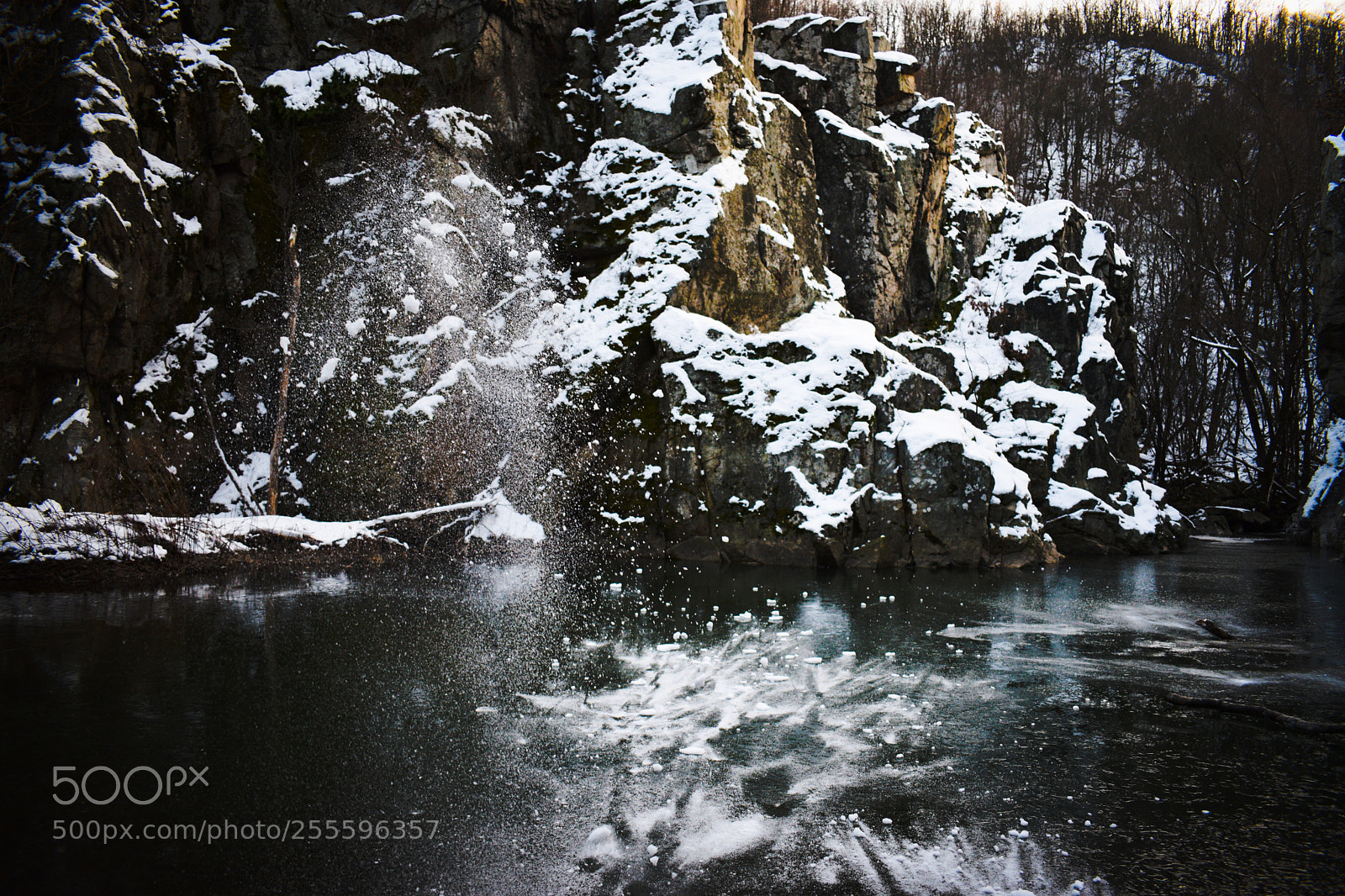 Nikon D3300 sample photo. Winter fairytale photography