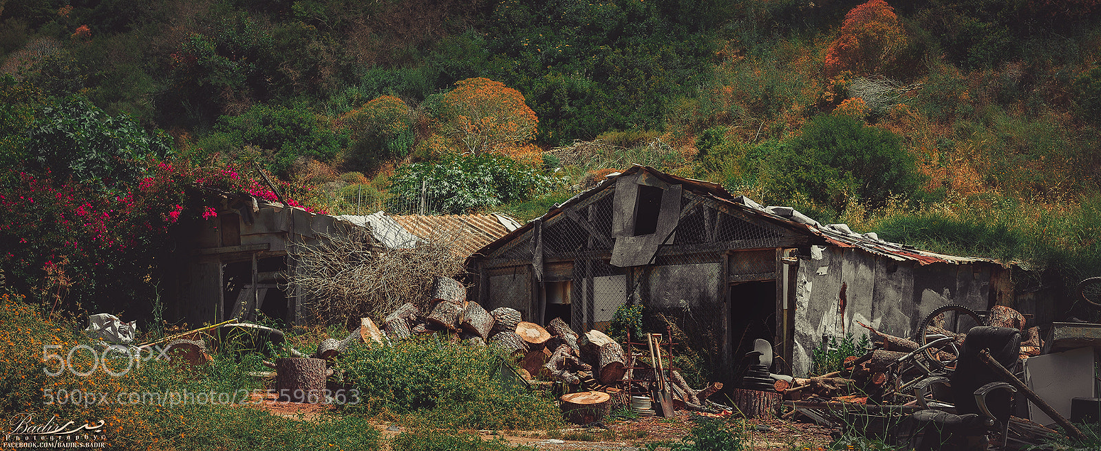 Nikon D800 sample photo. The cabin photography