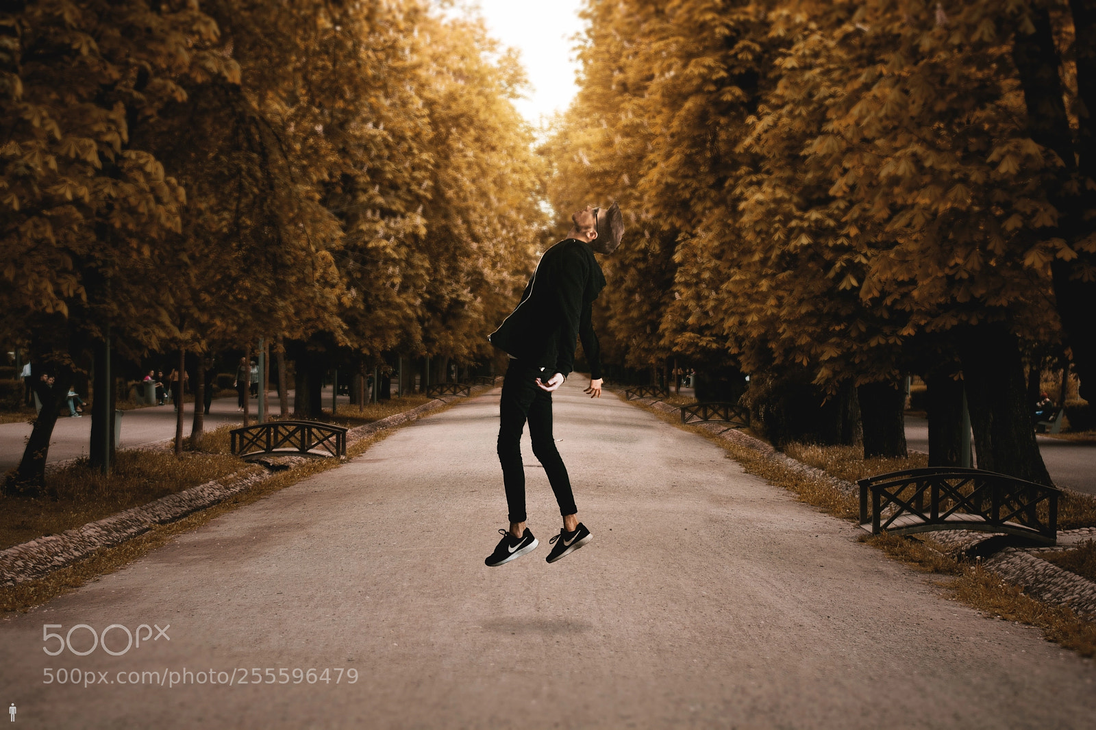 Nikon D7100 sample photo. Levitate photography