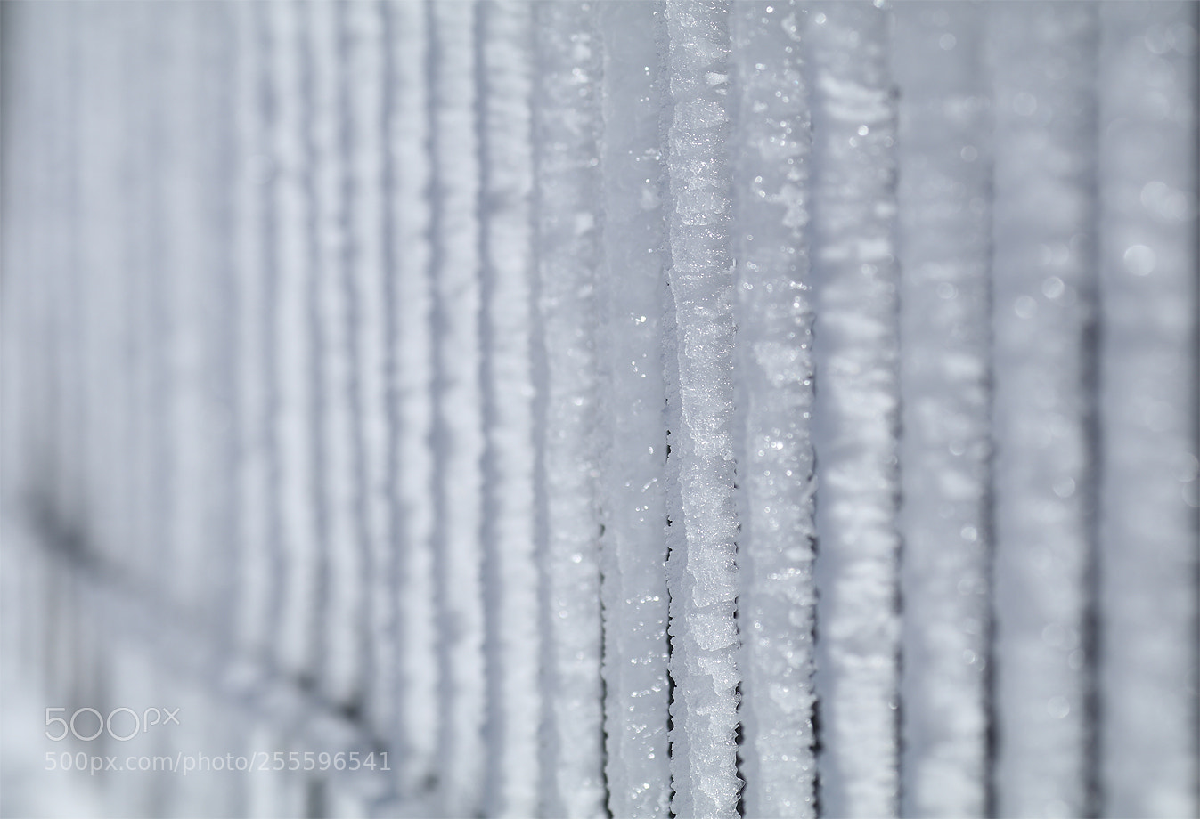 Canon EOS 80D sample photo. A light winter grid photography
