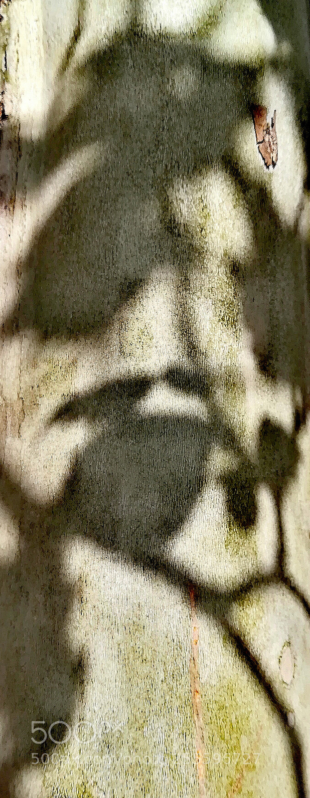 HUAWEI PRA-LX1 sample photo. Shadows photography