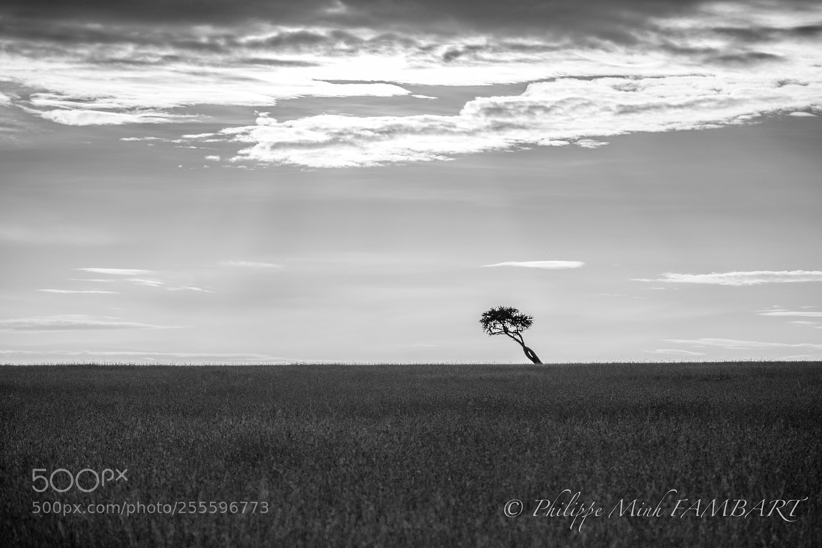 Canon EOS 5D Mark IV sample photo. Landscape of masai mara photography