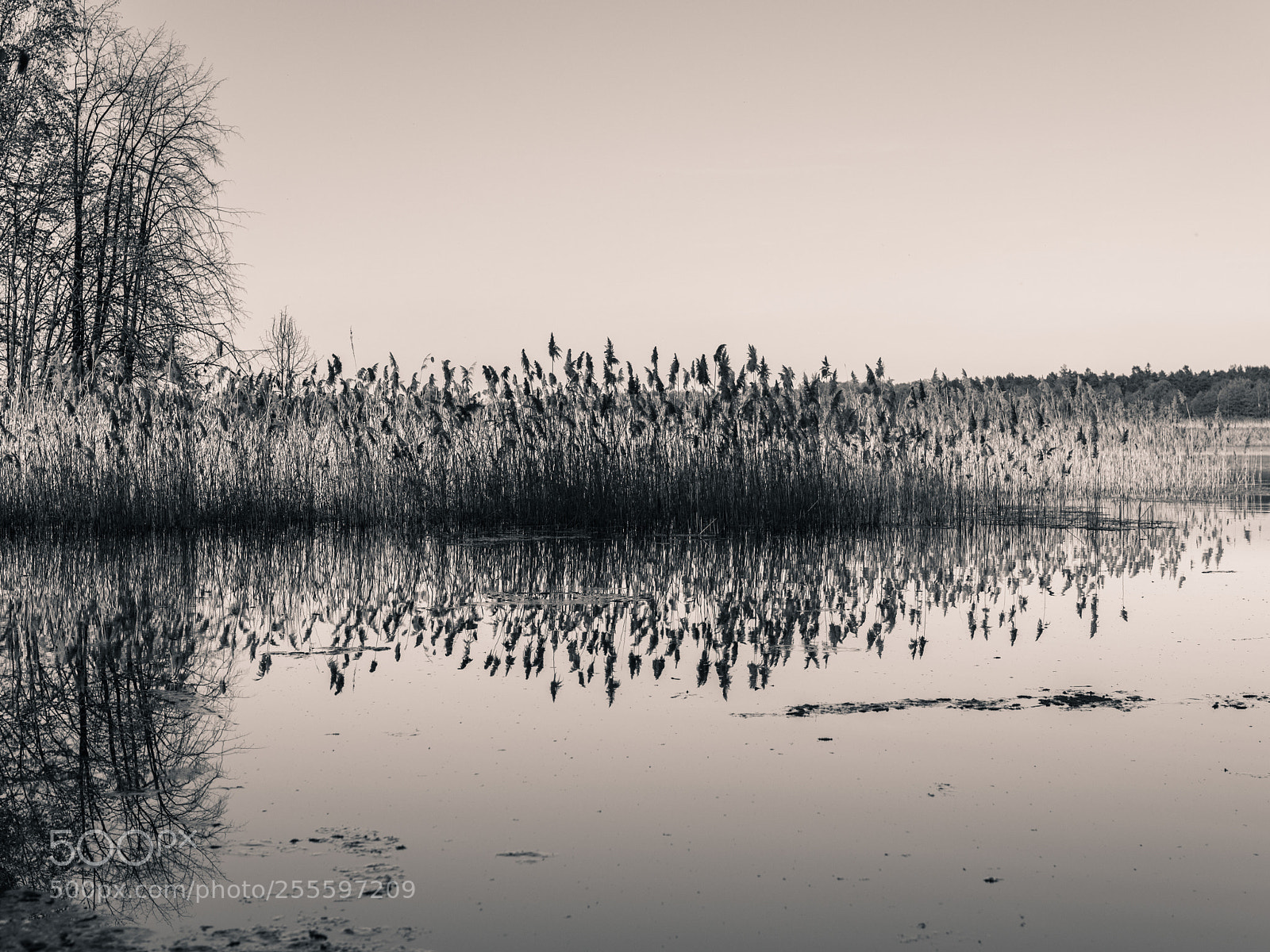 Nikon D810 sample photo. Goczałkowice ii photography