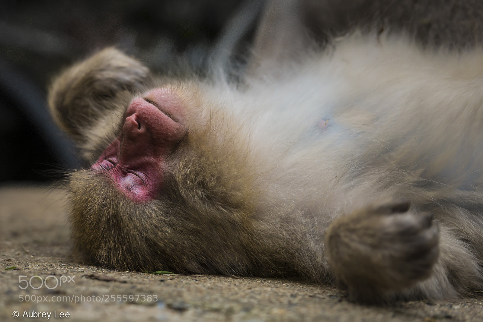 Nikon D610 sample photo. It's all about the photography