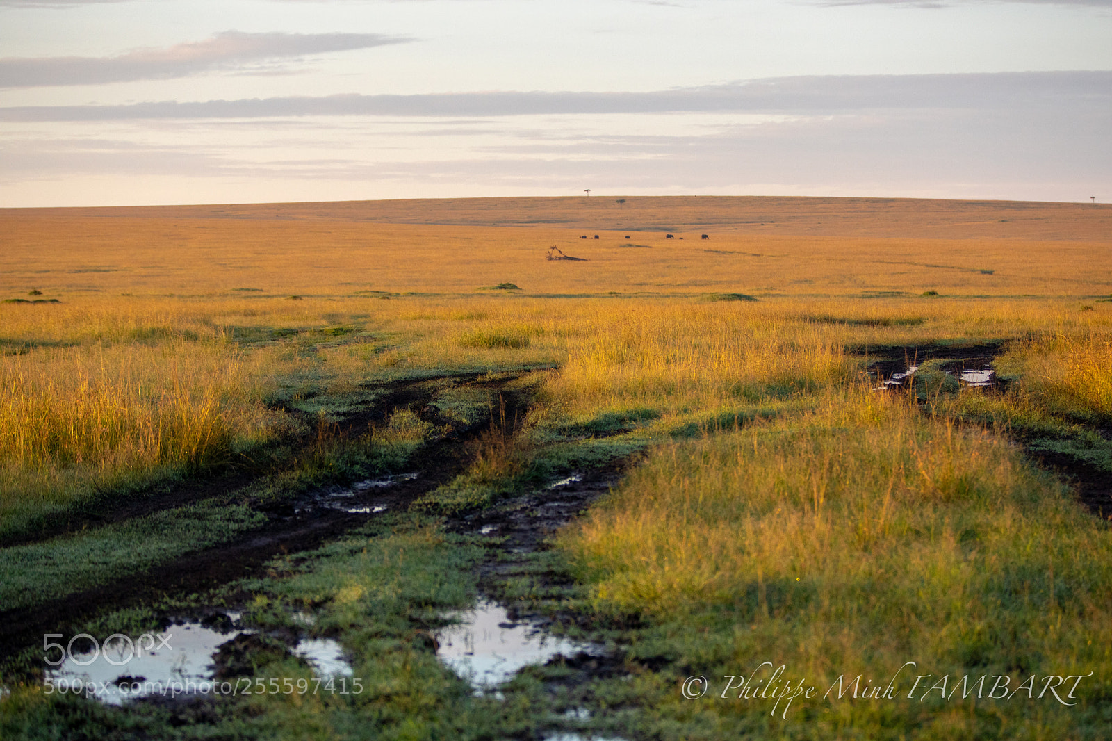 Canon EOS 5D Mark IV sample photo. Landscape of masai mara photography