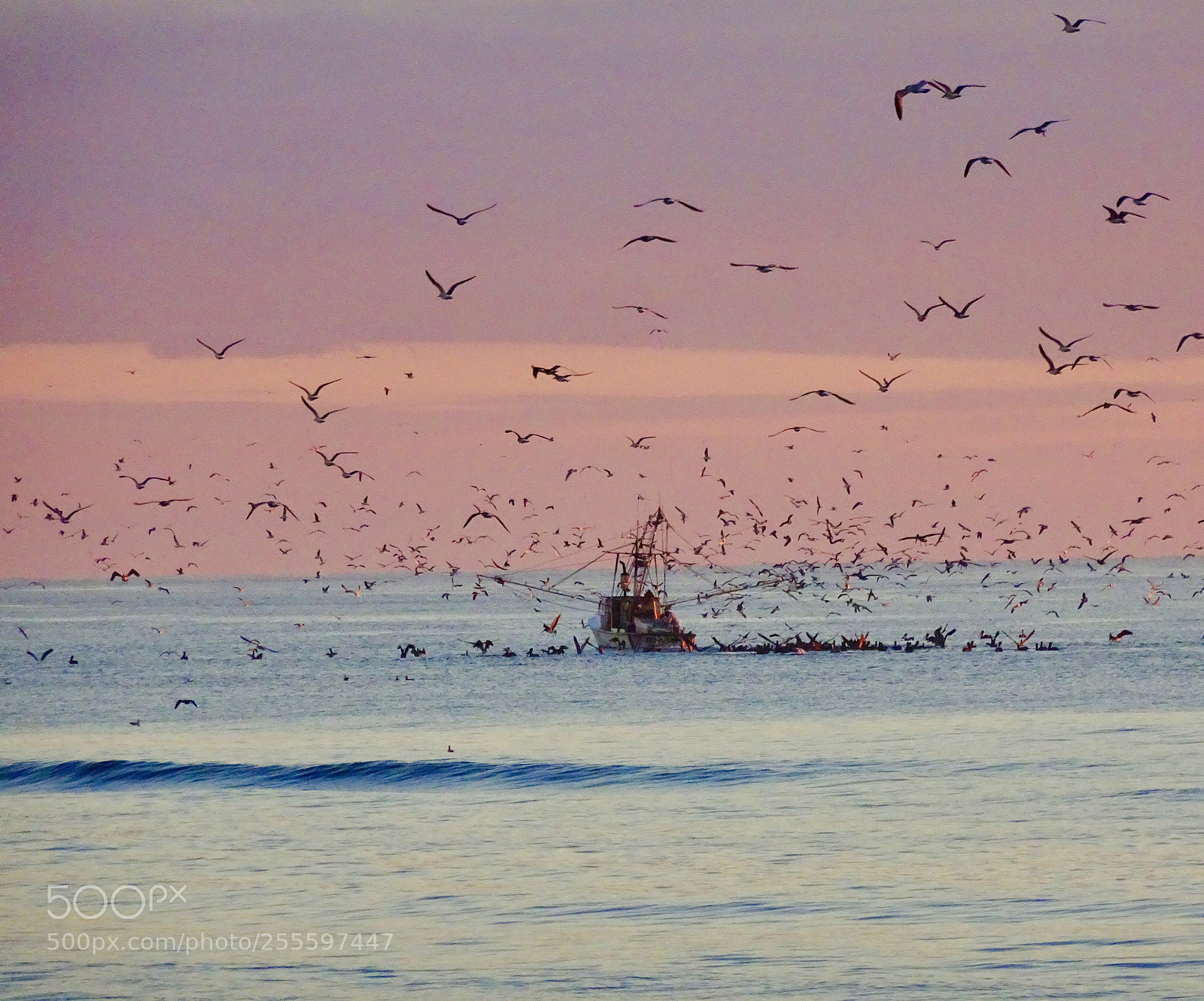 Sony Cyber-shot DSC-HX90V sample photo. Shrimp boat in the photography