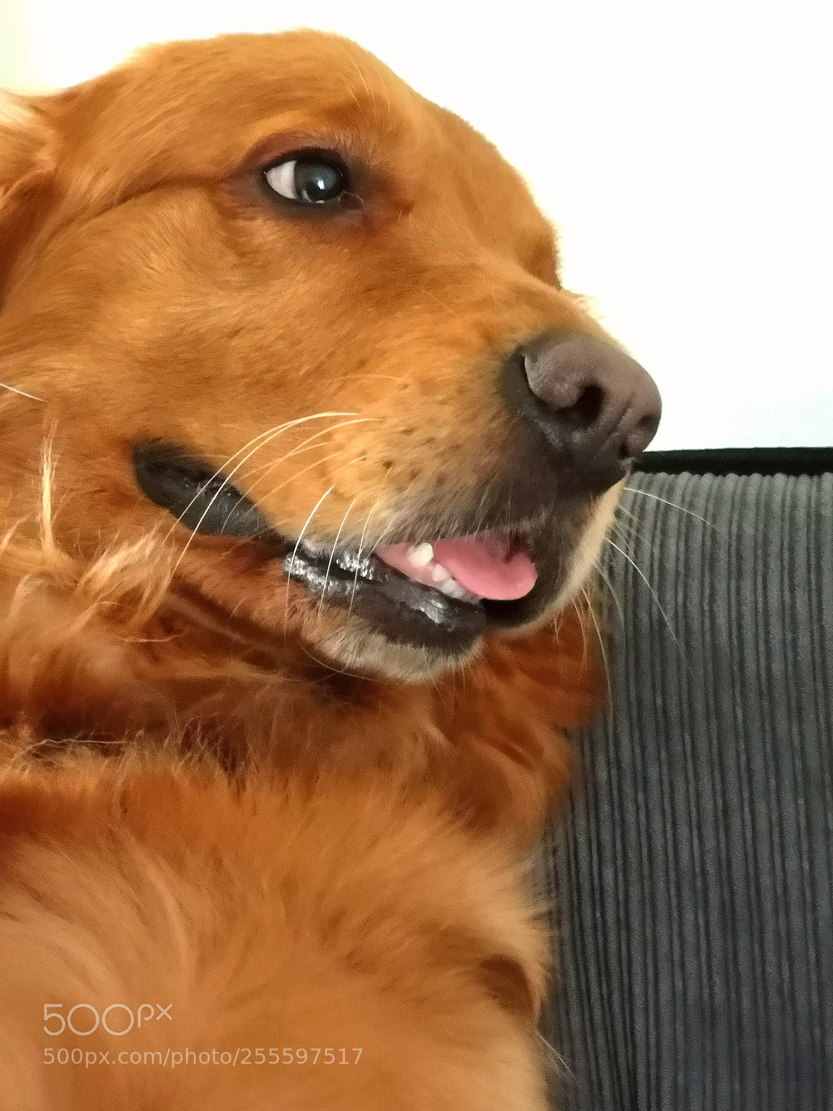 HUAWEI CLT-L09 sample photo. That look photography
