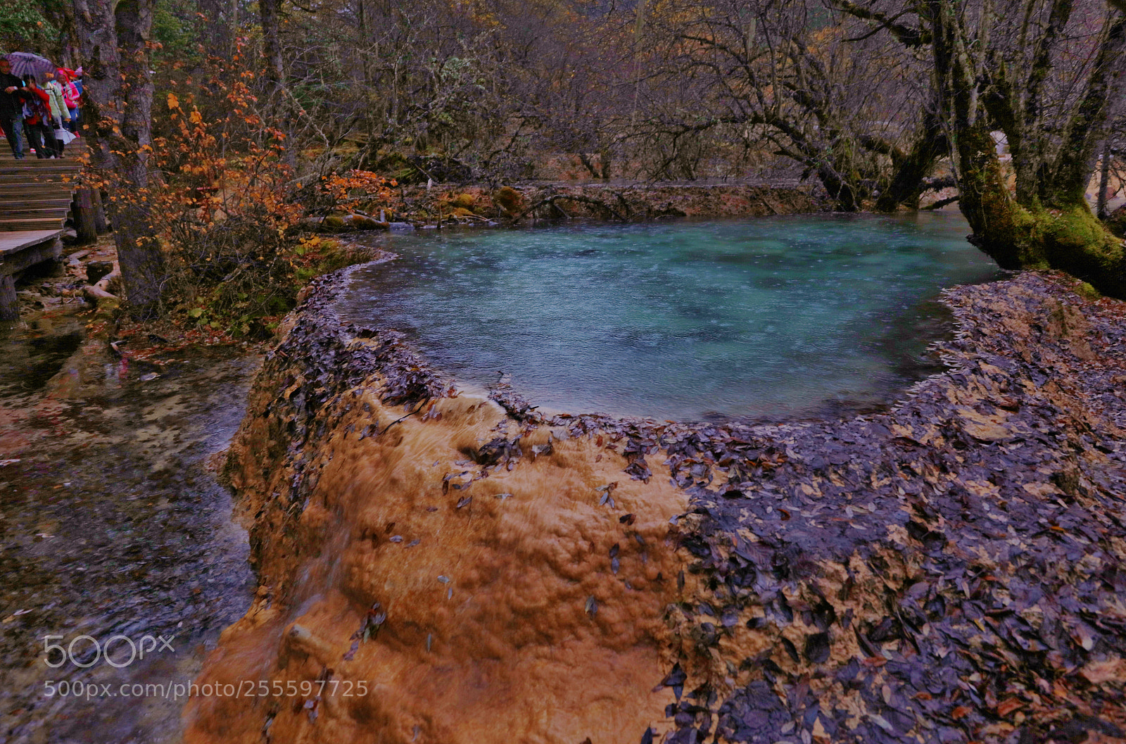 Canon EOS 5DS R sample photo. Rain on the green photography