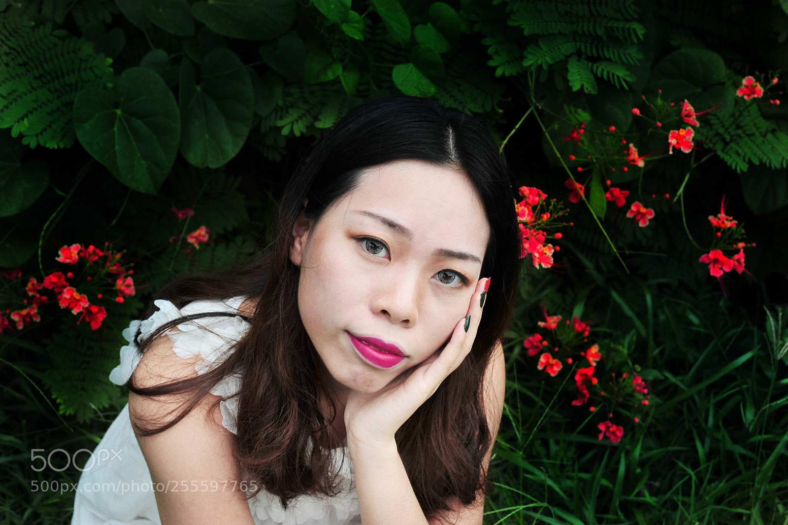 Nikon D700 sample photo. Spring photography
