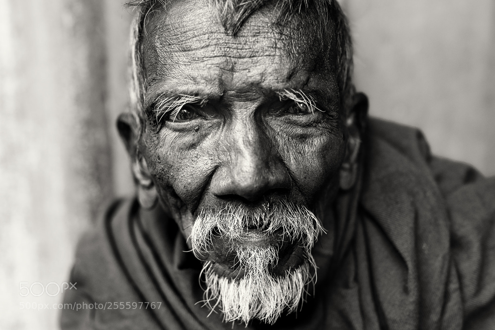 Canon EOS 5D Mark IV sample photo. India, old man in photography