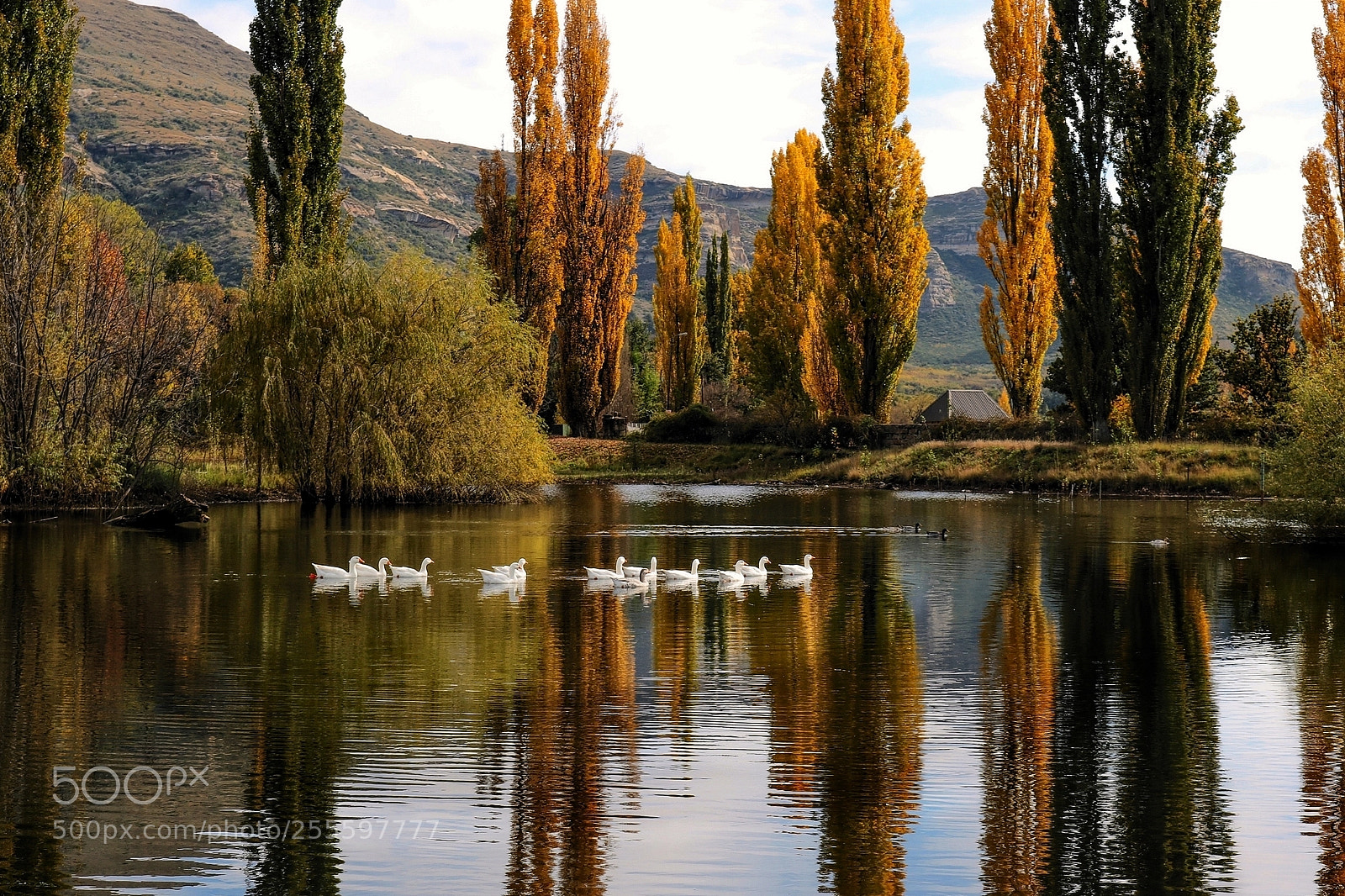 Canon EOS 750D (EOS Rebel T6i / EOS Kiss X8i) sample photo. Serenity, peace and harmony photography