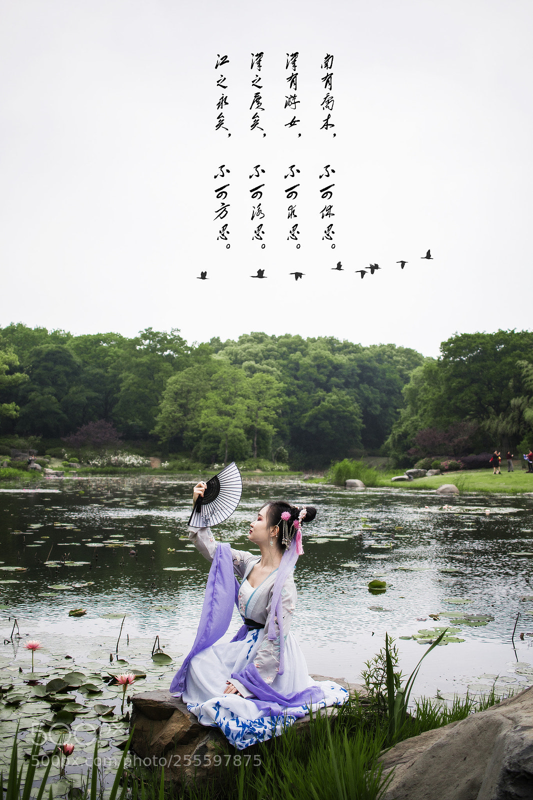 Canon EOS 70D sample photo. Untitled photography