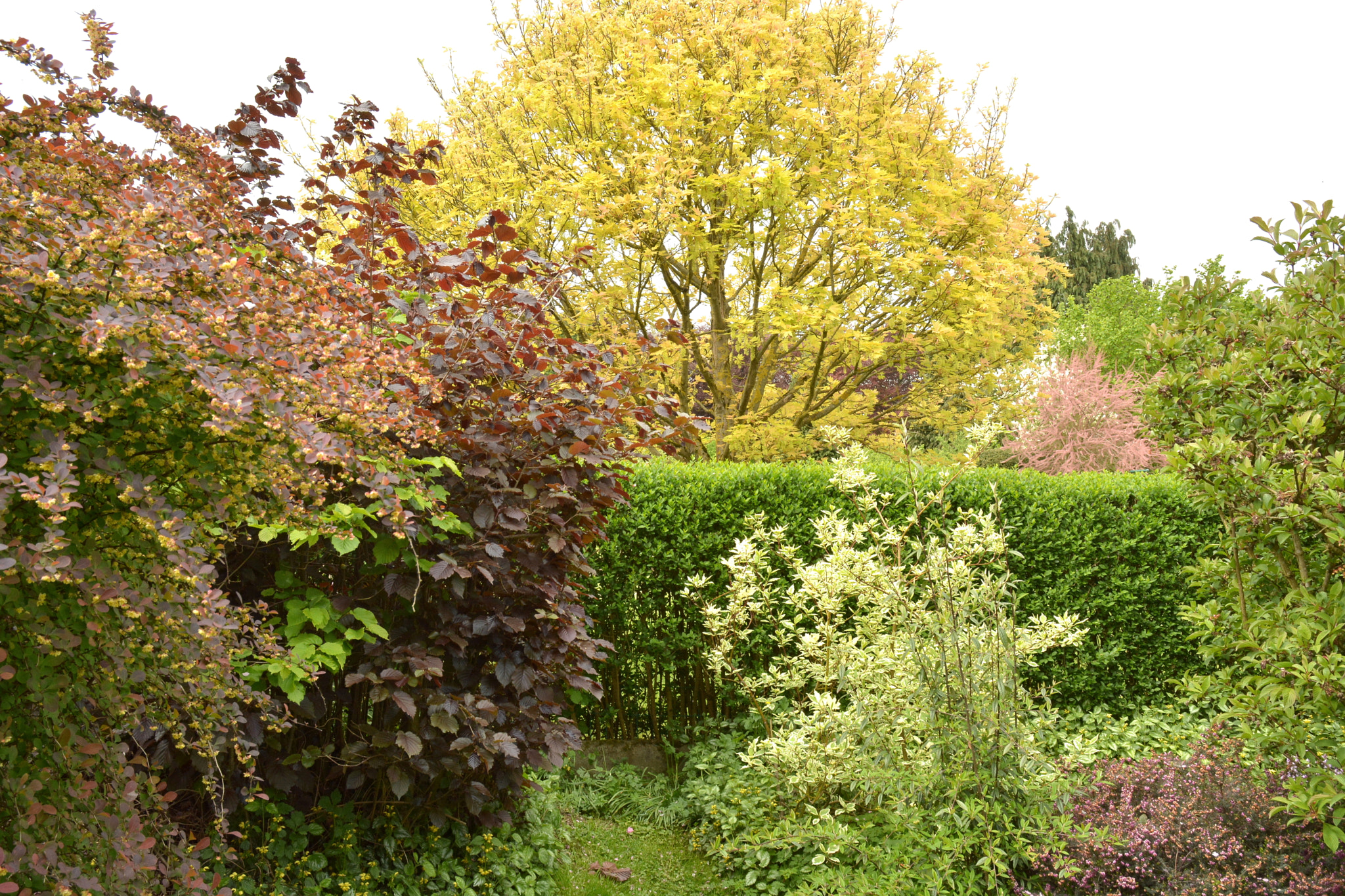 Nikon D5200 sample photo