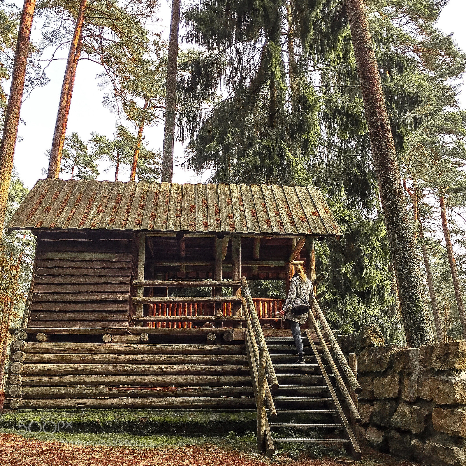 Apple iPhone 6 sample photo. Veldensteiner forst photography