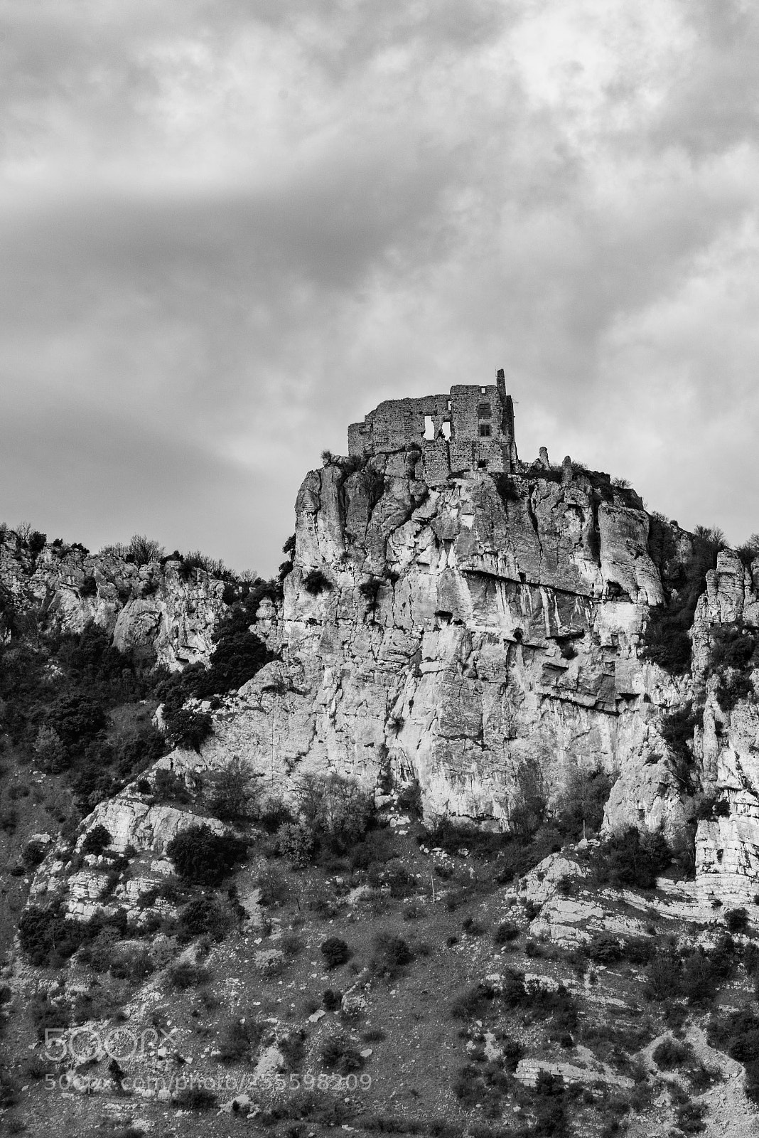 Nikon D800 sample photo. Chateau de crussol photography