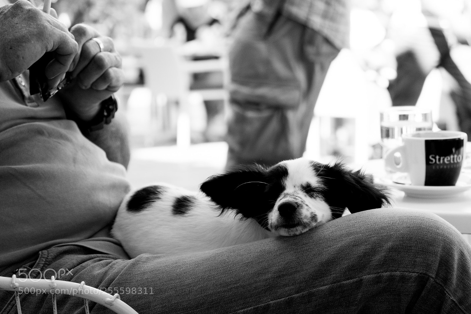 Fujifilm X-T2 sample photo. Untitled photography