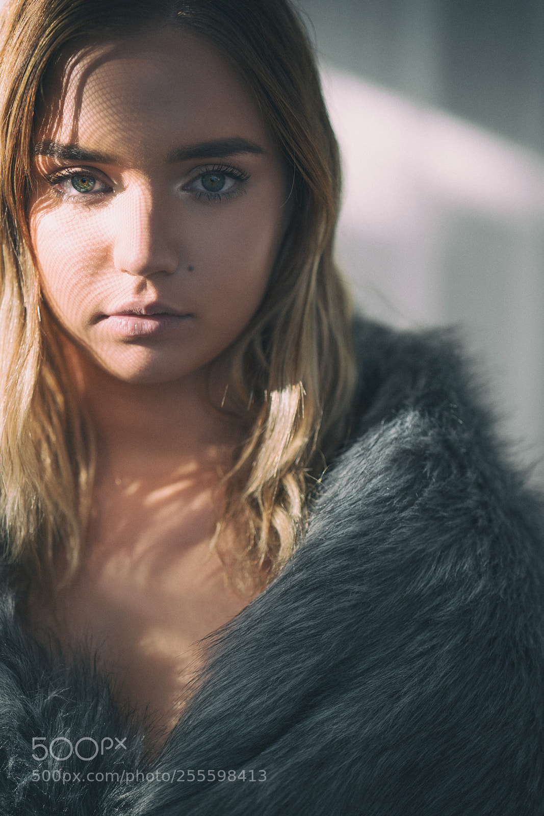 Sony a9 sample photo. Sunshine & fur photography