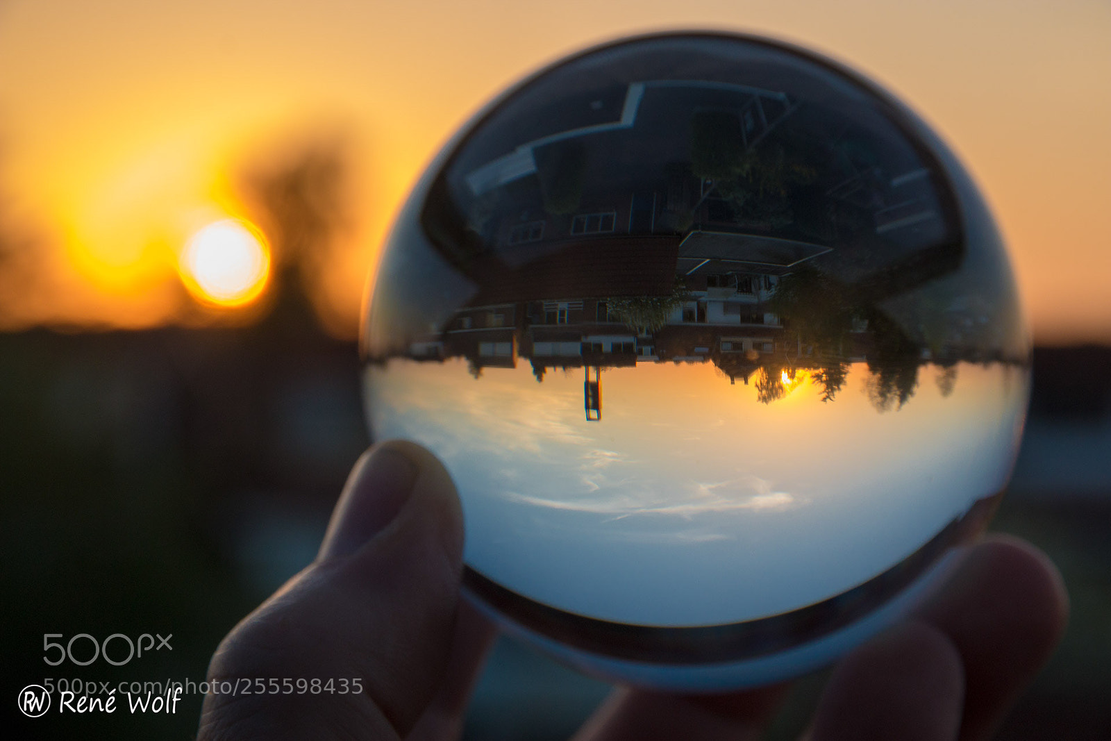 Canon EOS 70D sample photo. Upside down sunset photography