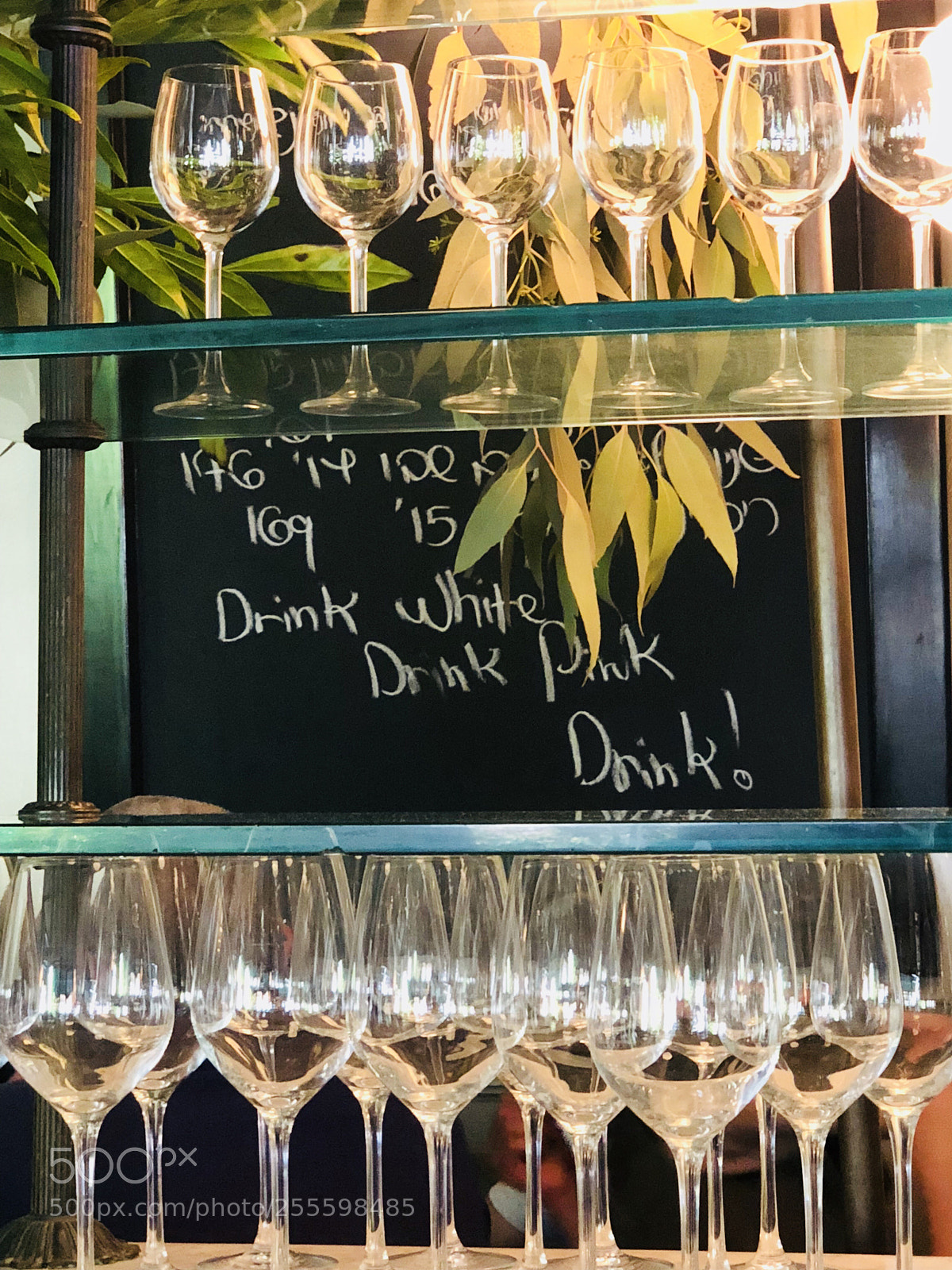 Apple iPhone X sample photo. Drink drink drink photography