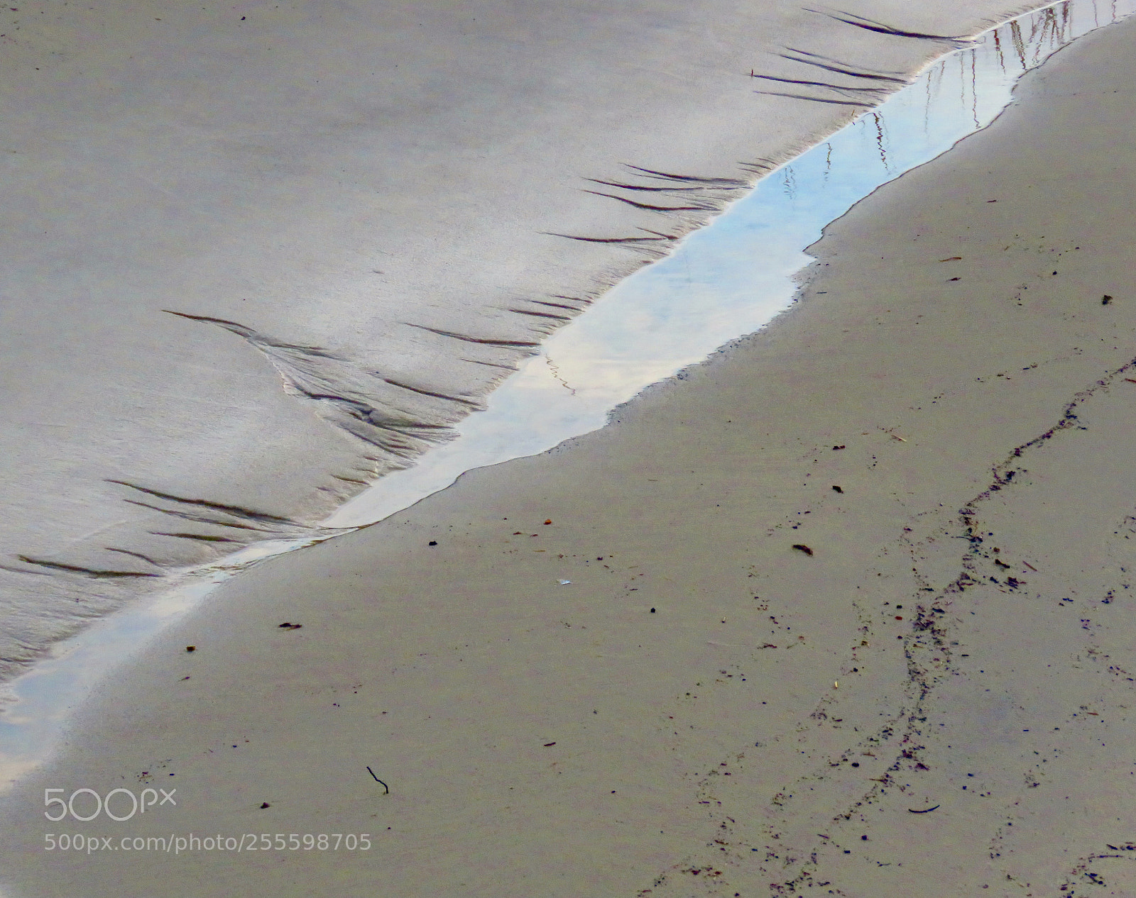 Canon PowerShot SX60 HS sample photo. Tidal pool photography