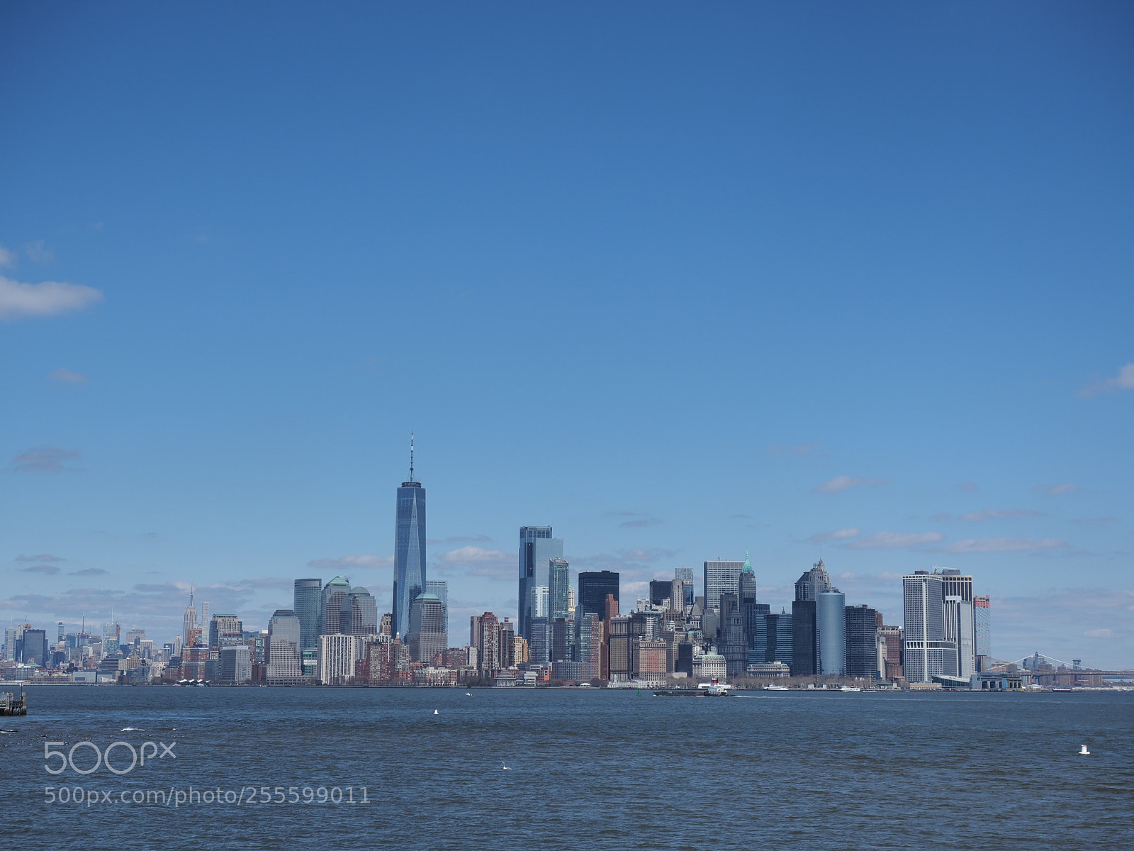 Olympus OM-D E-M1 Mark II sample photo. Skyline... photography
