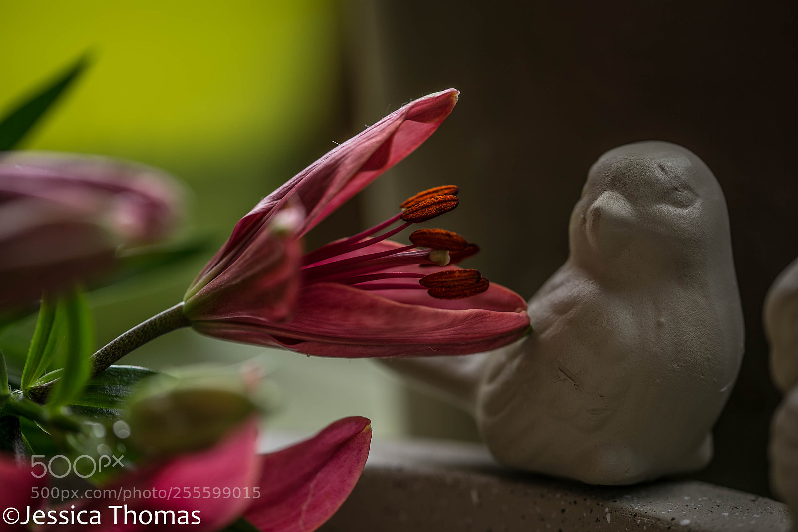 Canon EOS 6D sample photo. Untitled photography