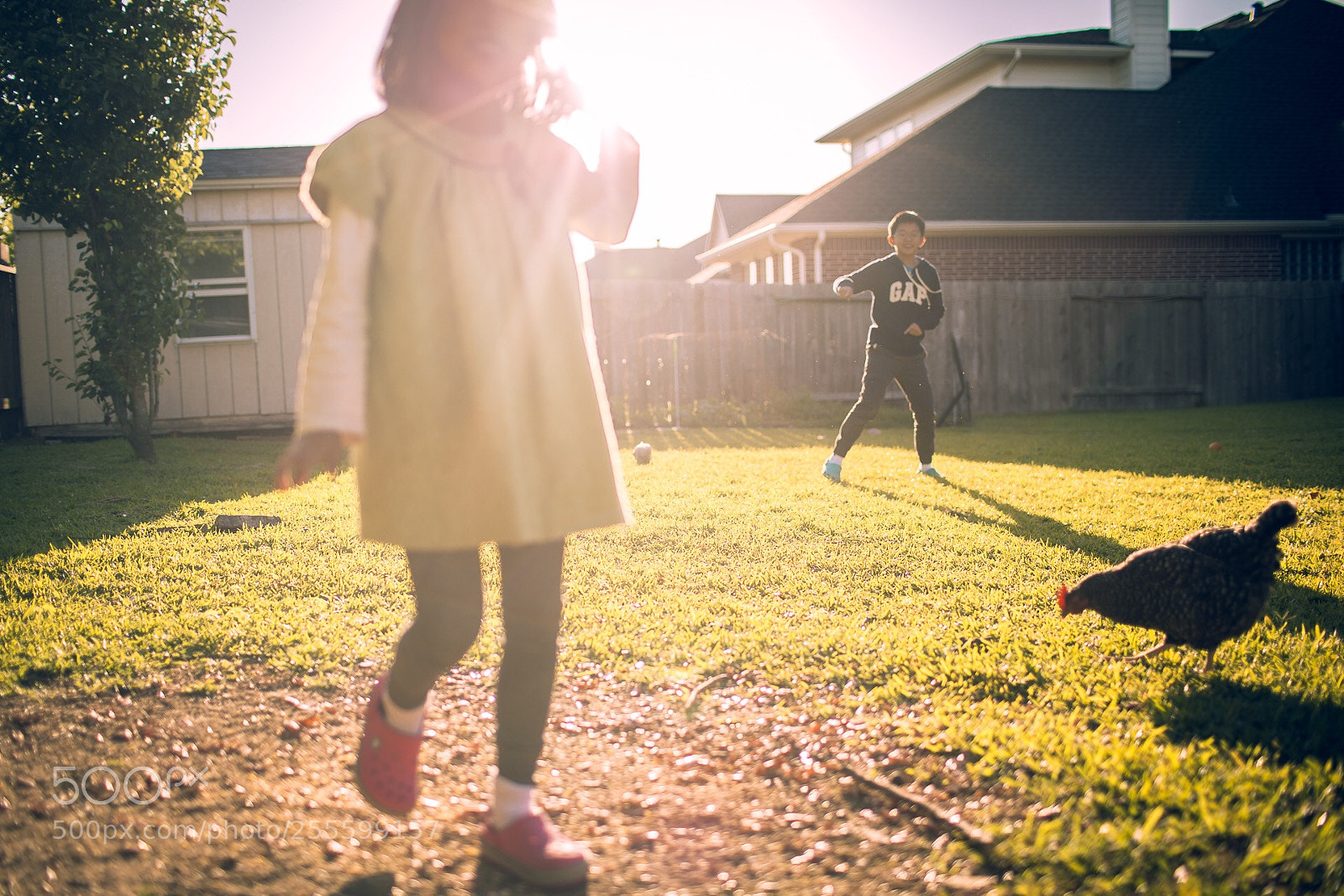 Canon EOS 6D sample photo. Back yard photography