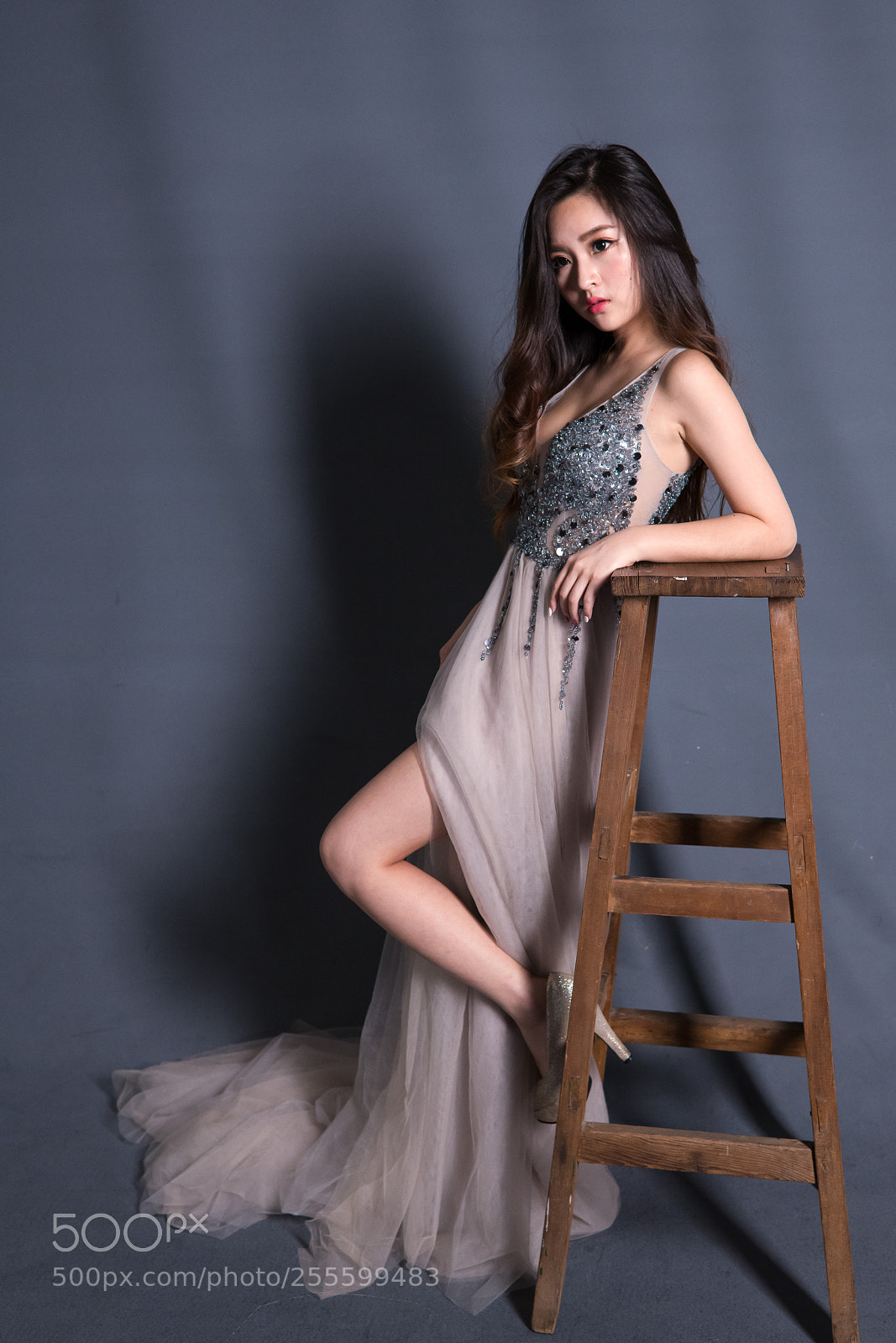 Nikon D850 sample photo. Dsc_6847-1.jpg photography