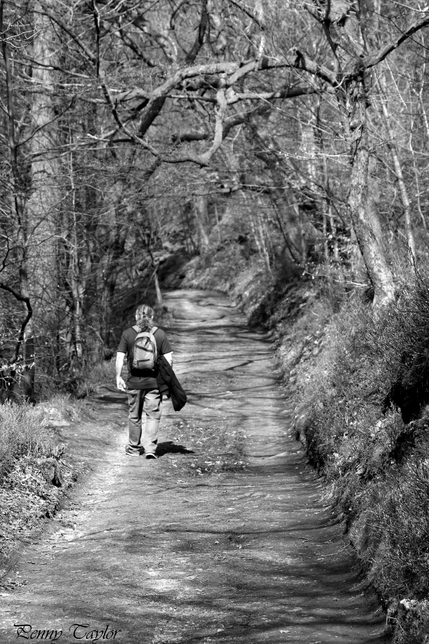 Canon EF 70-300 F4-5.6 IS II USM sample photo. On his way .... photography