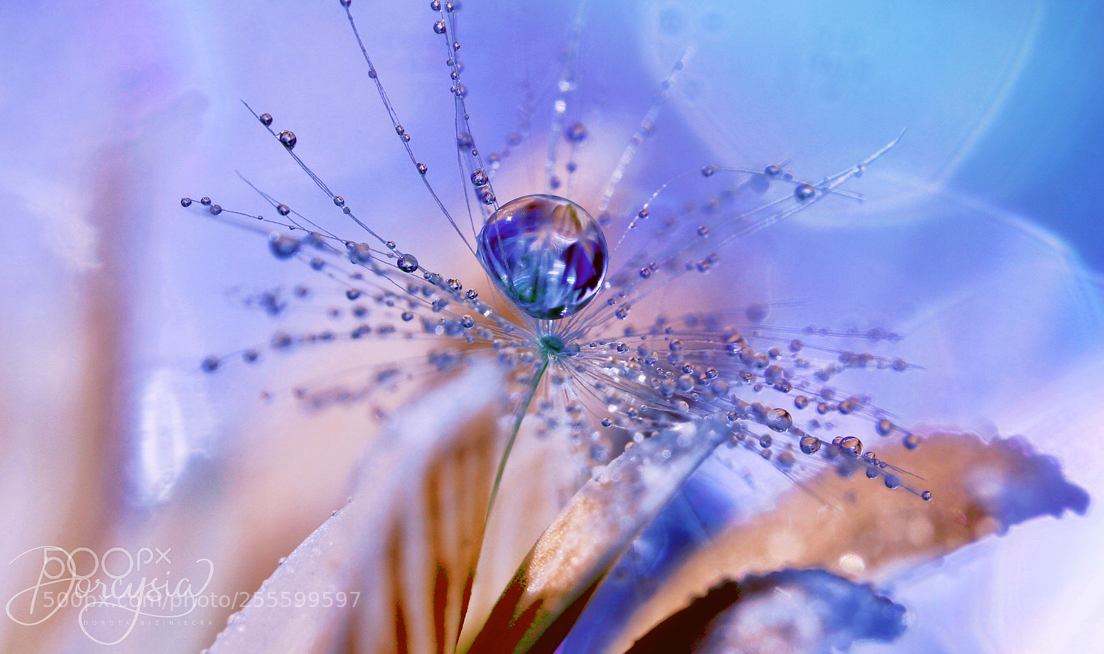 Canon EOS 7D sample photo. Heavenly photography